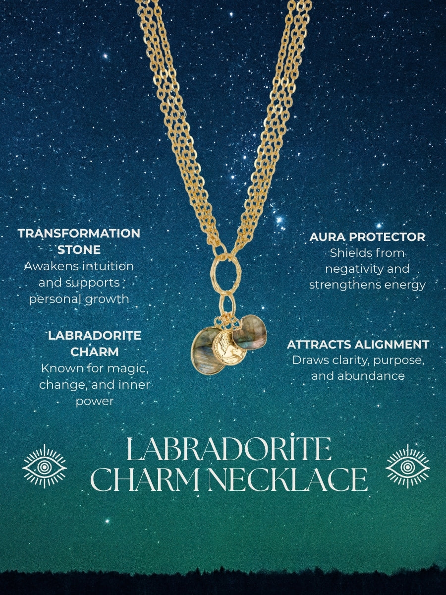 Labradorite Charm Necklace