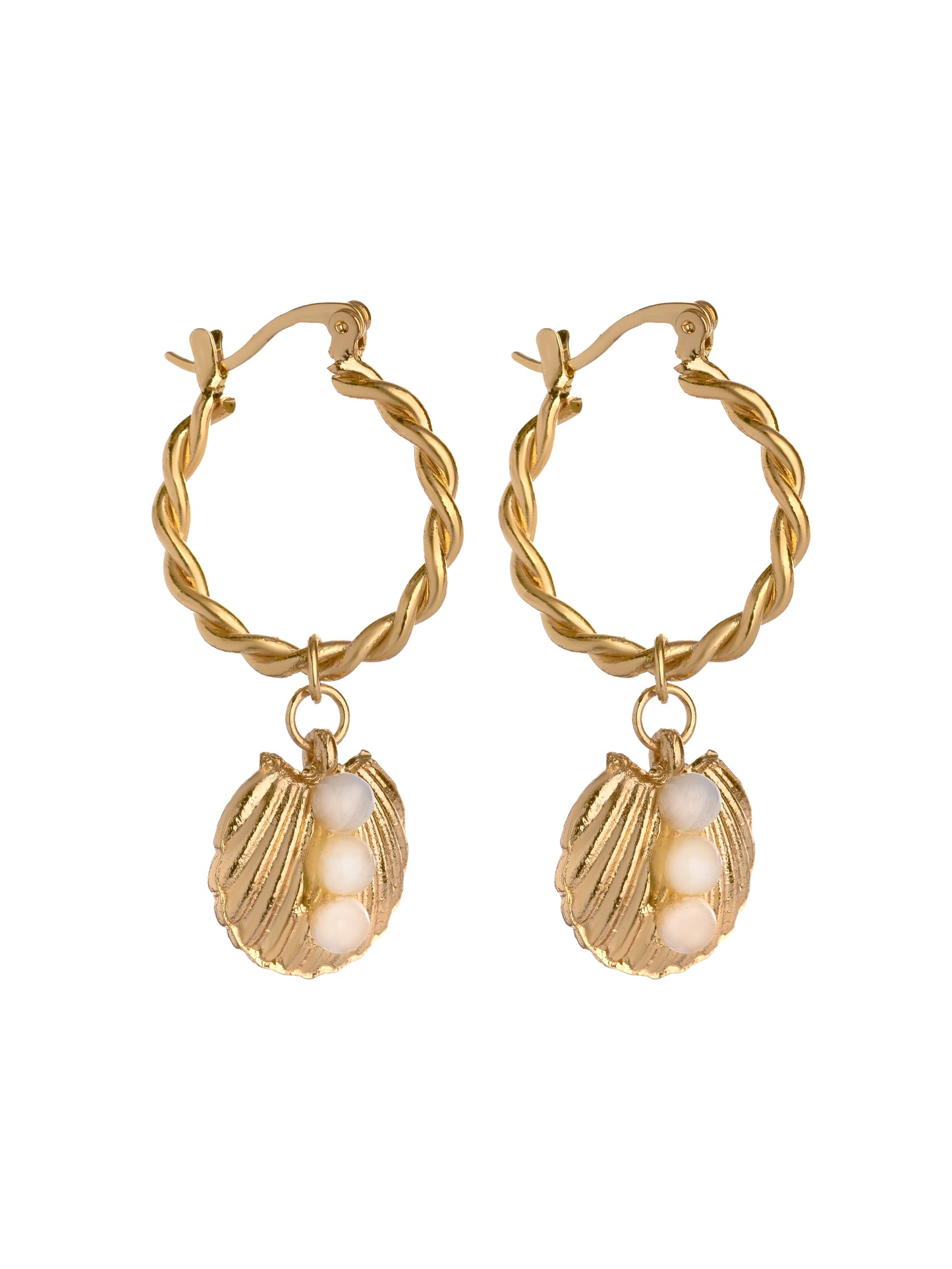 Shell Drop Hoop Earrings