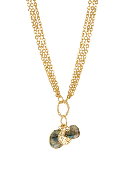 Labradorite Charm Necklace