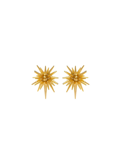 Spike Earrings