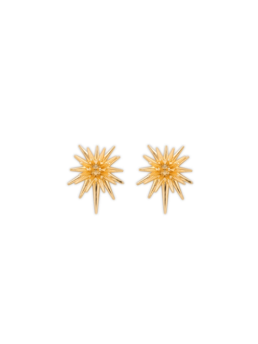 Spike Earrings