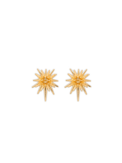 Spike Earrings